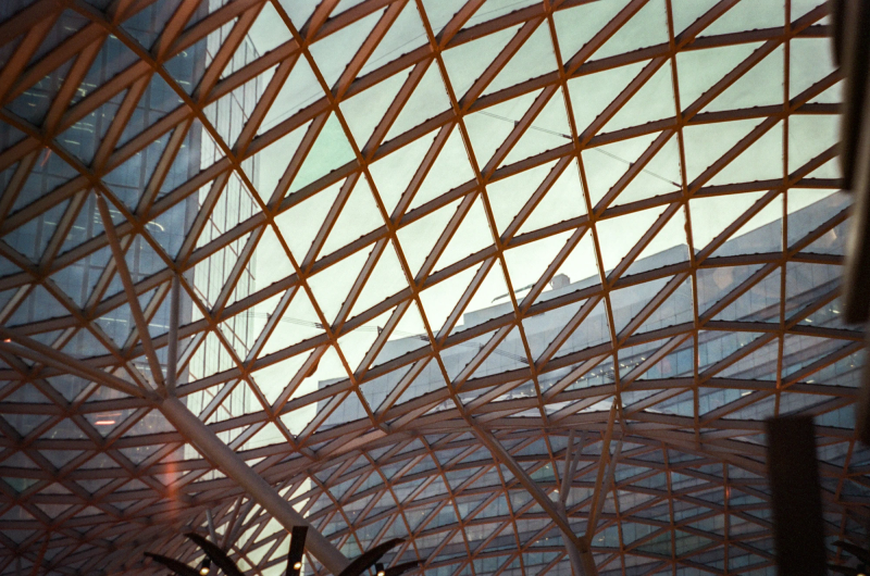 Photograph titled: analog structure of glass and steel