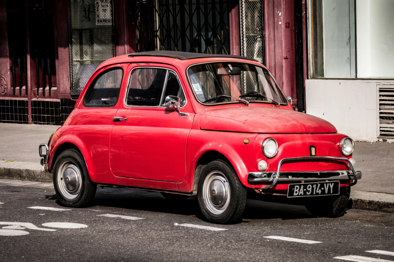 Photograph titled: paris ladybug